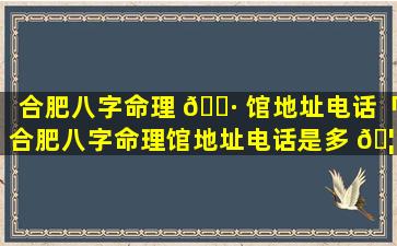 合肥八字命理 🌷 馆地址电话「合肥八字命理馆地址电话是多 🦈 少」